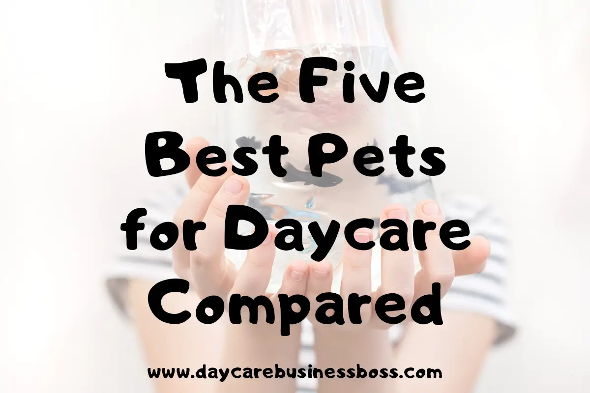 The Five Best Pets For Daycare Compared